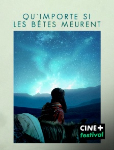 CINE+ Festival - Qu'importe si les bêtes meurent