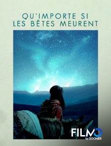 FilmoTV - Qu'importe si les bêtes meurent