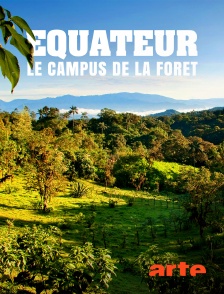 Equateur, le campus de la forêt