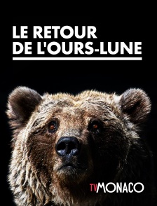 TV Monaco - Le retour de l'ours-lune en replay