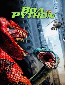 Boa VS Pyton