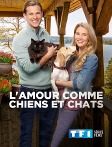 TF1 Séries Films - L'amour comme chiens et chats