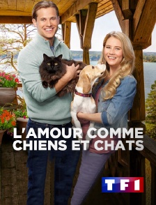 L'amour comme chiens et chats