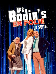 Les Bodin's en folie : la suite