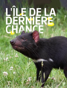 L'île de la dernière chance