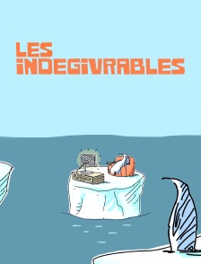 Les Indégivrables