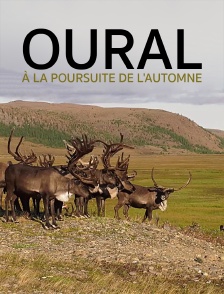 Oural, à la poursuite de l'automne