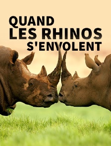 Quand les rhinos s'envolent