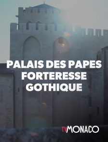 Palais des papes, forteresse gothique