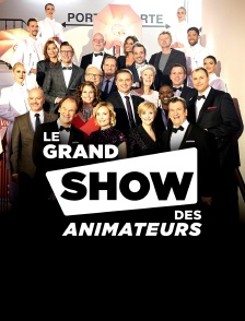 Le Grand Show des animateurs