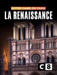 C8 - Notre-Dame : la renaissance