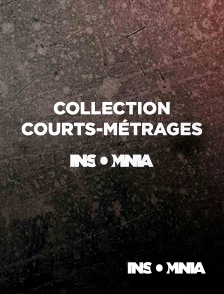 INSOMNIA - Collection courts-métrages