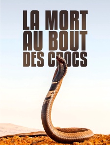 La mort au bout des crocs