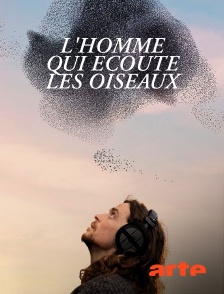 Arte - Irlande, l'homme qui écoute les oiseaux