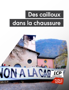 LCP Public Sénat - Des cailloux dans la chaussure