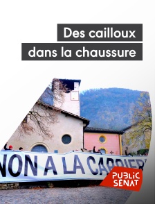 Public Sénat - Des cailloux dans la chaussure