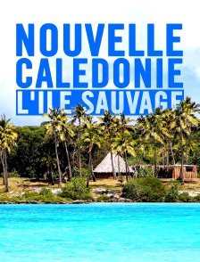 Nouvelle-Calédonie, l'île sauvage