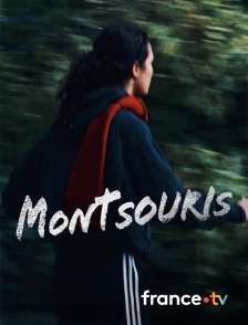france.tv - Montsouris