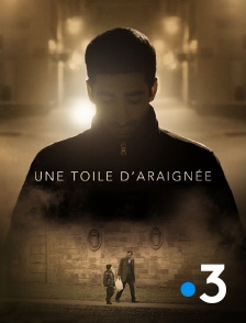 France 3 - Une toile d'araignée