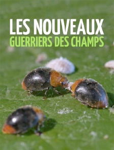 Les nouveaux guerriers des champs