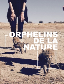 Orphelins de la nature