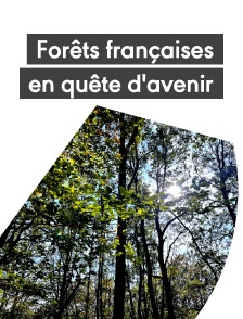 Forêts françaises, en quête d'avenir
