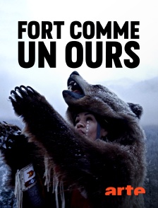 Fort comme un ours