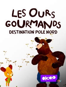 Okoo - Les ours gourmands : Destination pôle Nord