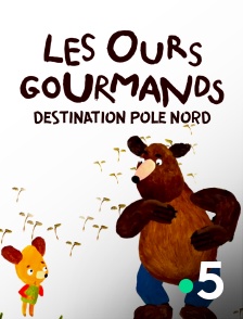 France 5 - Les ours gourmands : Destination pôle Nord