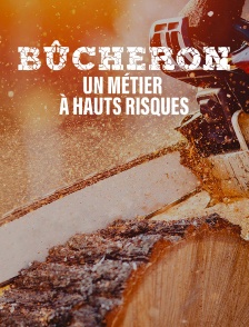 Bucheron : un métier à hauts risques
