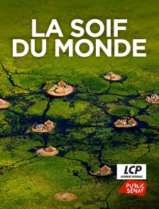 La soif du monde