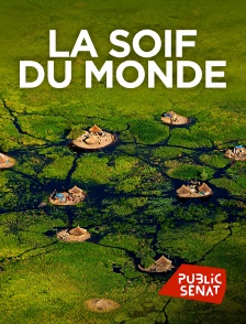 Public Sénat - La soif du monde