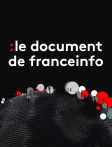Le document de franceinfo