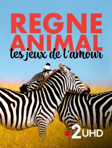 France 2 UHD - Règne animal, les jeux de l'amour