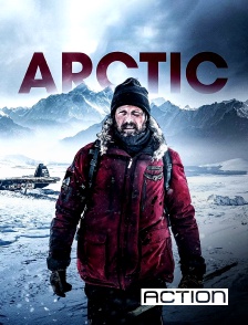 Action - Arctic