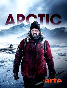 Arte - Arctic