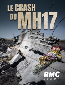 Le crash du MH17