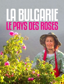 La Bulgarie, le pays des roses