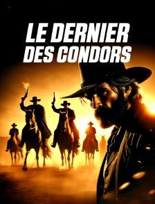 Le dernier des condors