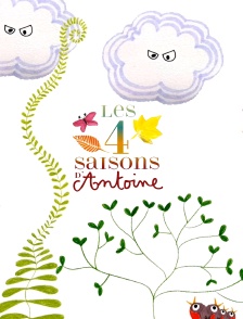 Les quatre saisons d'Antoine