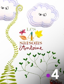 Les quatre saisons d'Antoine