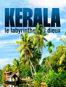 Kerala le labyrinthe des dieux