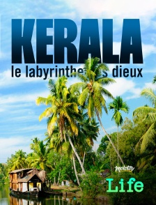 Kerala le labyrinthe des dieux