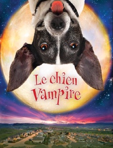 Le chien vampire