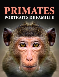 Primates, portraits de famille