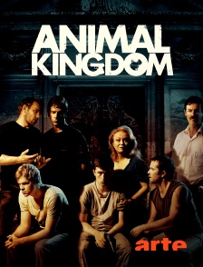 Arte - Animal Kingdom