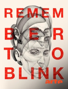 Arte - Remember to Blink