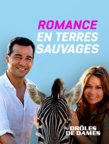 Molotov Channels internal-external test - Romance en terre sauvage
