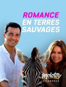 Molotov Channels - Romance en terre sauvage