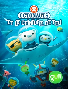 Les Octonauts et la Ceinture de feu